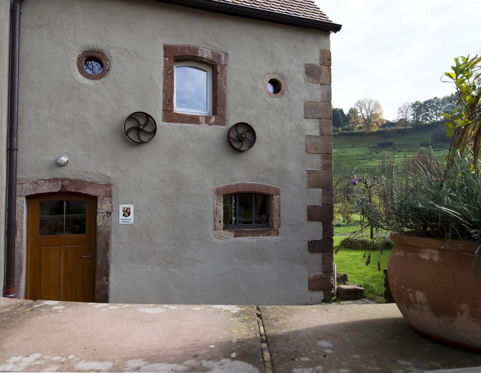 Landgrafen-Muehle Hotel Wallhalben Bagian luar foto